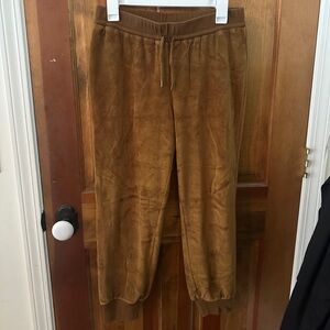 Madewell Velour Dried Cedar Jogger